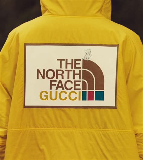 northfacw x gucci|gucci x north face tracksuit.